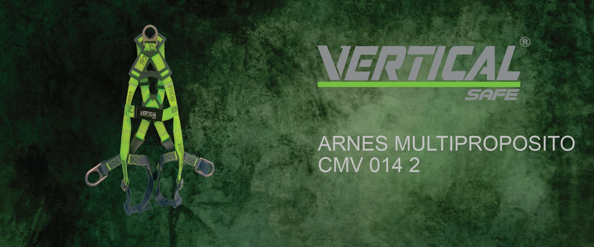 Logo Vertical Safe